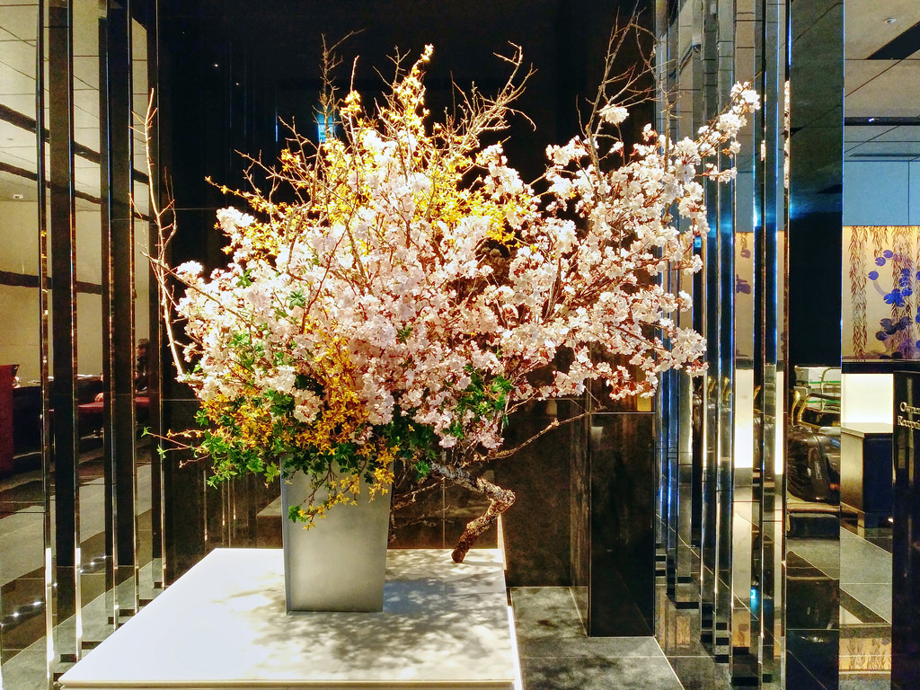 ホテルロビーの桜は一流の証なのか 番外編 Resortboy S Blog リゾートホテルとホテル会員制度の研究
